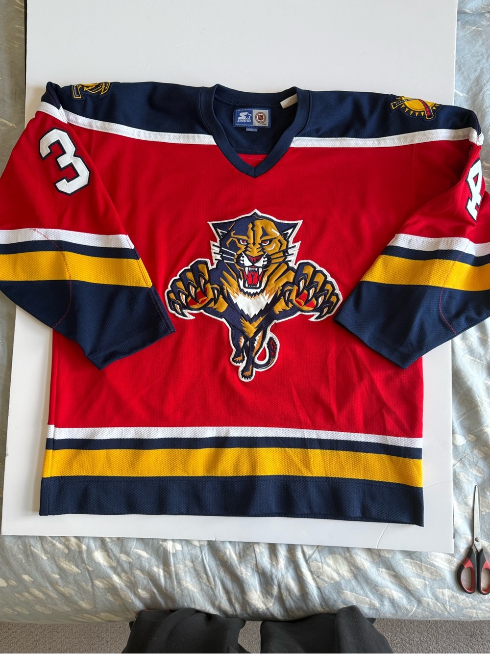 Florida Panthers  Vanbiesbrouck Rare Vintage Hockey Jersey